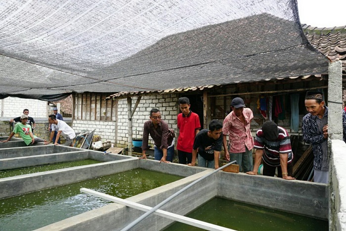 Tim KKN BBM Desa Gajah saat mengunjungi kolam lele milik warga (Foto: UNAIR NEWS)