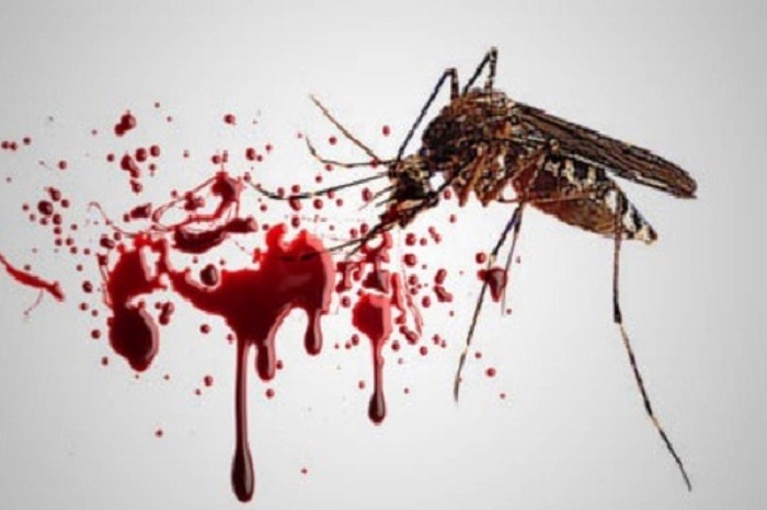 PENYAKIT demam berdarah, salah satu penyakit emerging yang masih memiliki prevalensi tinggi dan belum terpecahkan hingga kini. (Foto: Istimewa)