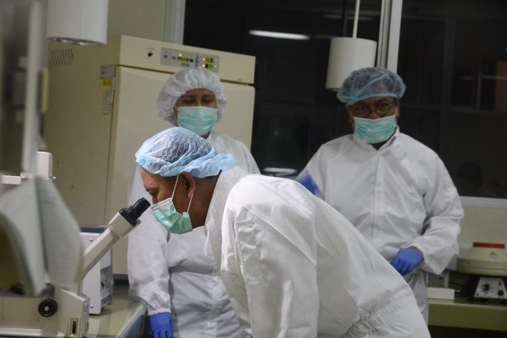 riset stem cell