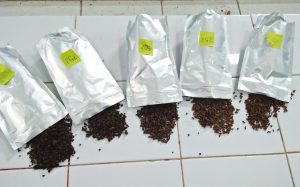 pakan ikan