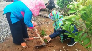lidah buaya