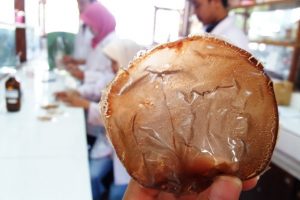 bioplastik