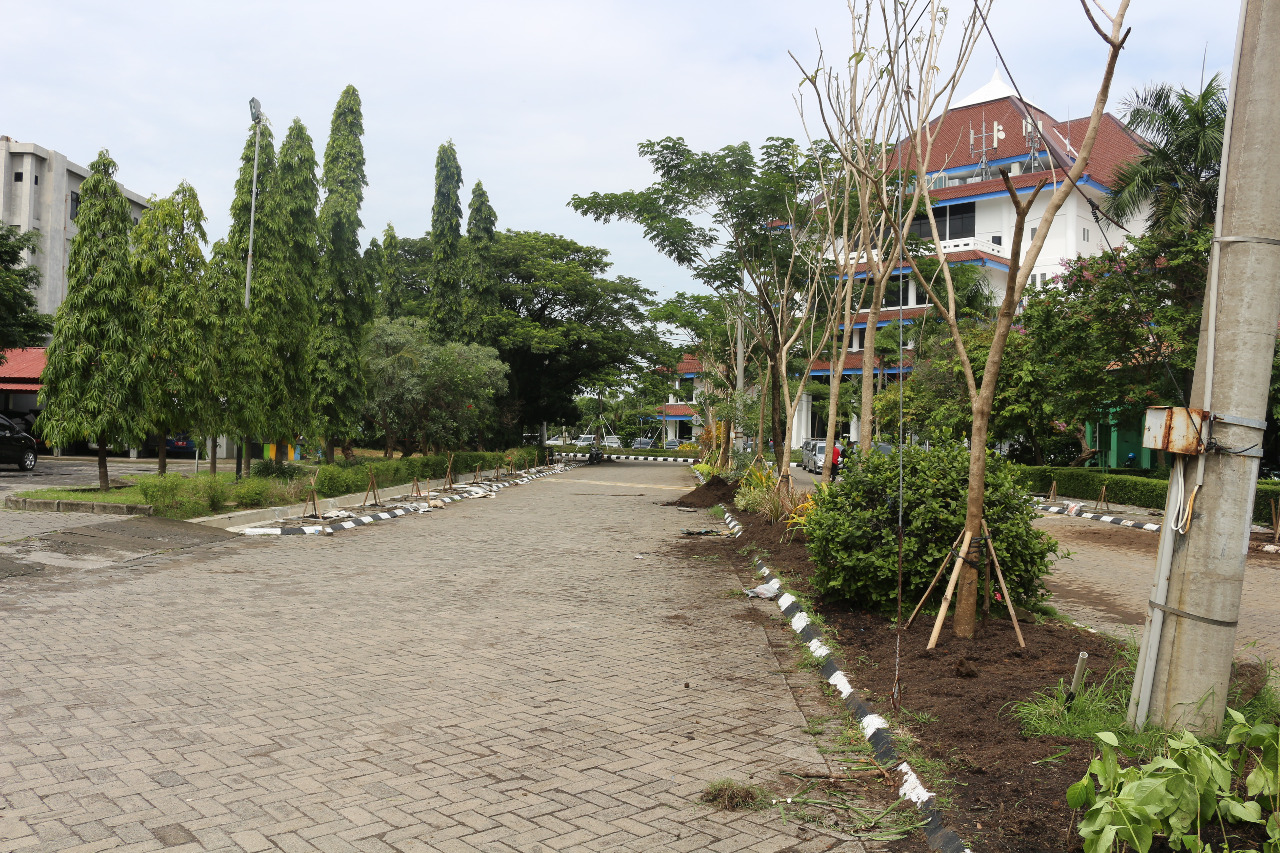 fakultas keperawatan