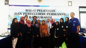 budidaya
