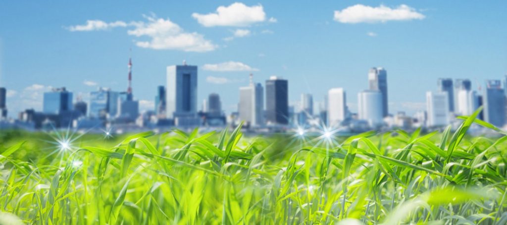 green politics