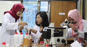 tulang rawan