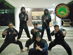 SEJUMLAH anggota Unit Kegiatan Mahasiswa (UKM) Pagar Nusa (PN). (Foto: Istimewa)