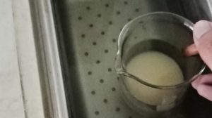 bawang putih