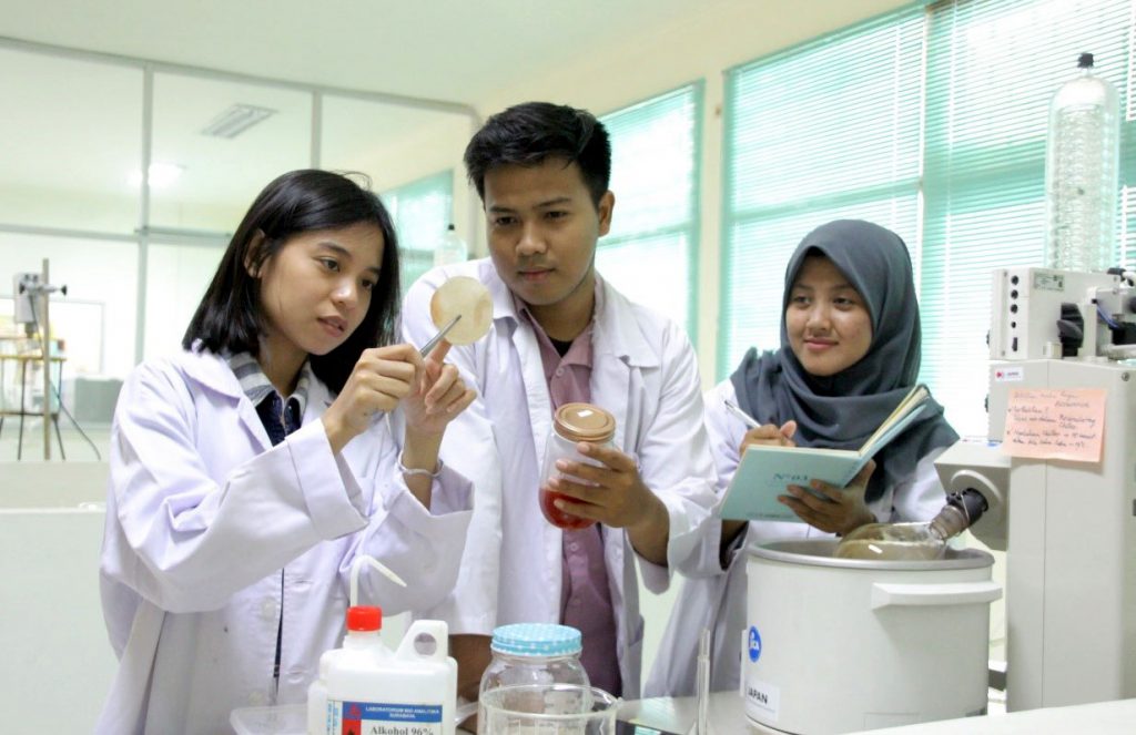 kantong darah