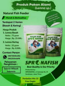 pakan alami