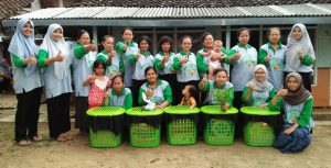 pupuk organik