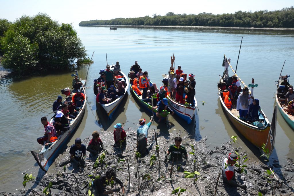 PENAMAN massal bibit mangrove oleh peserta di Pos Pantau PLN Peduli Gunung Anyar Tambak Surabaya. (Foto: Fariz Ilham R.)