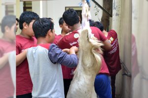 PANITIA memisahkan kulit dengan daging kambing di Masjid Nuruzaman Kampus B Universitas Airlangg. (Foto: Fariz Ilham R.)