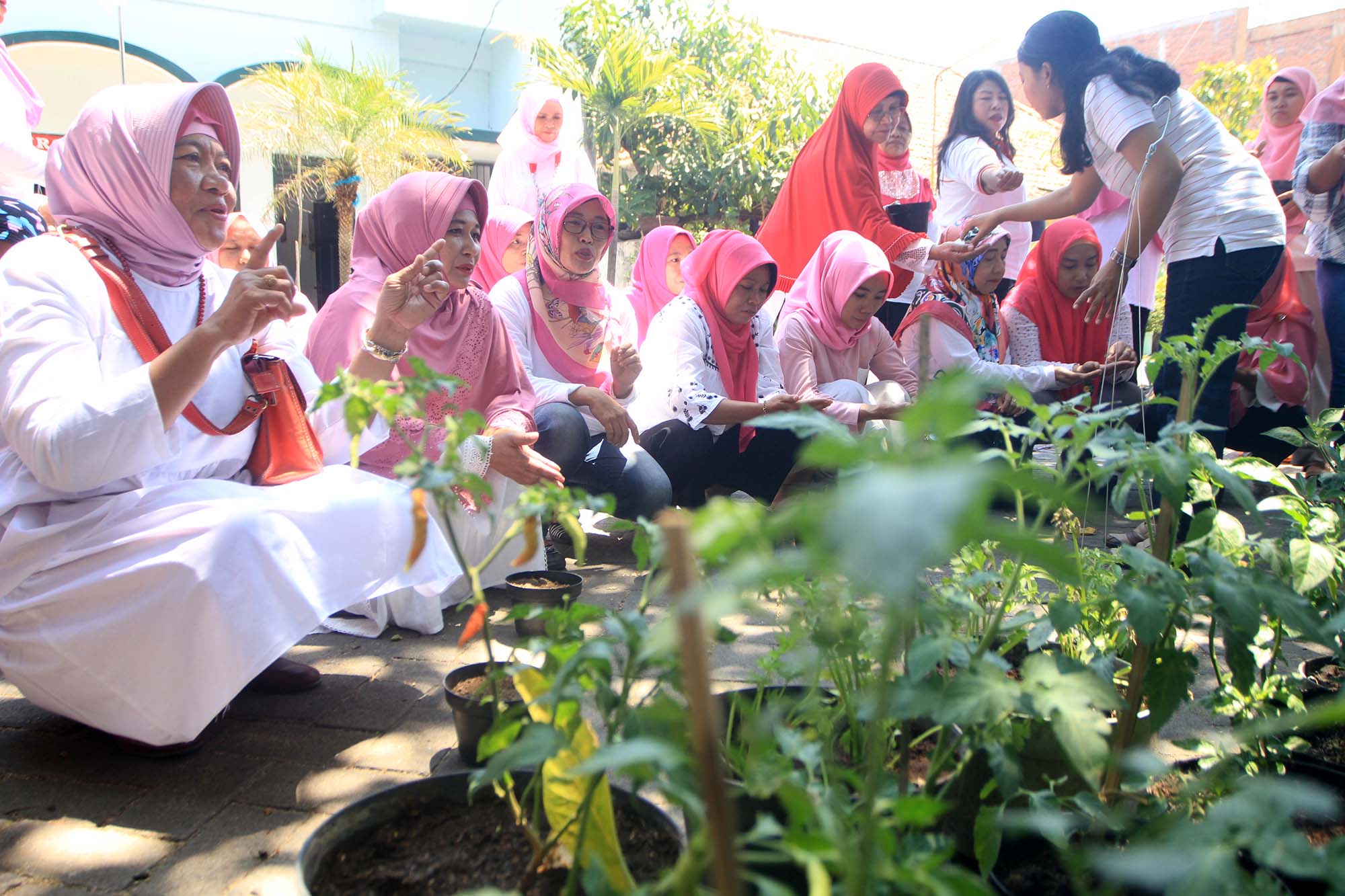 IBU-ibu PKK Kelurahan Pacarkembang mempersiapakan tanaman hidroponik dalam program pengabdian masayarakat dosen Fakultas Keerawatan Universitas Airlangg. (Foto: Fariz Ilham R.)