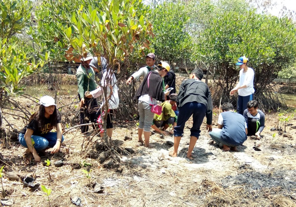 KEGIATAN Penaman Mangrove oleh BEM UNAIR. (Foto: Istimewa)