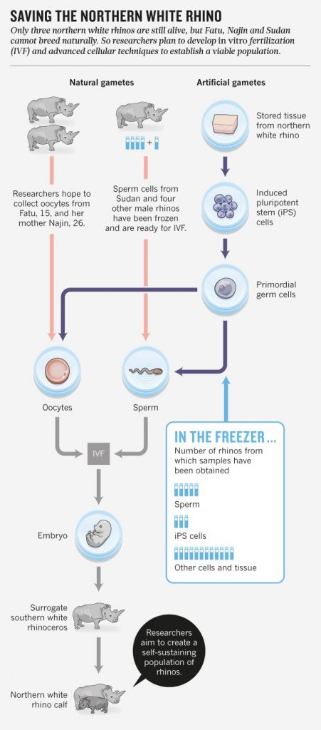 Ilustrasi oleh penulis