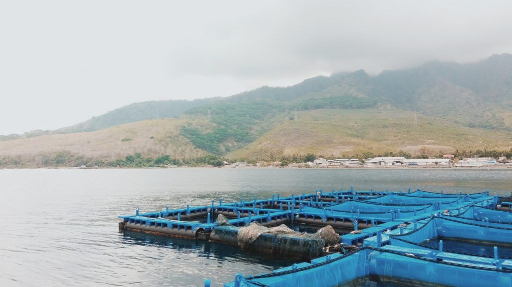Floating Net Cages at BPBAP Situbondo, one of the internship locations for Aquaculture students from UNAIR Banyuwangi. (Photo: Bastian Ragas)