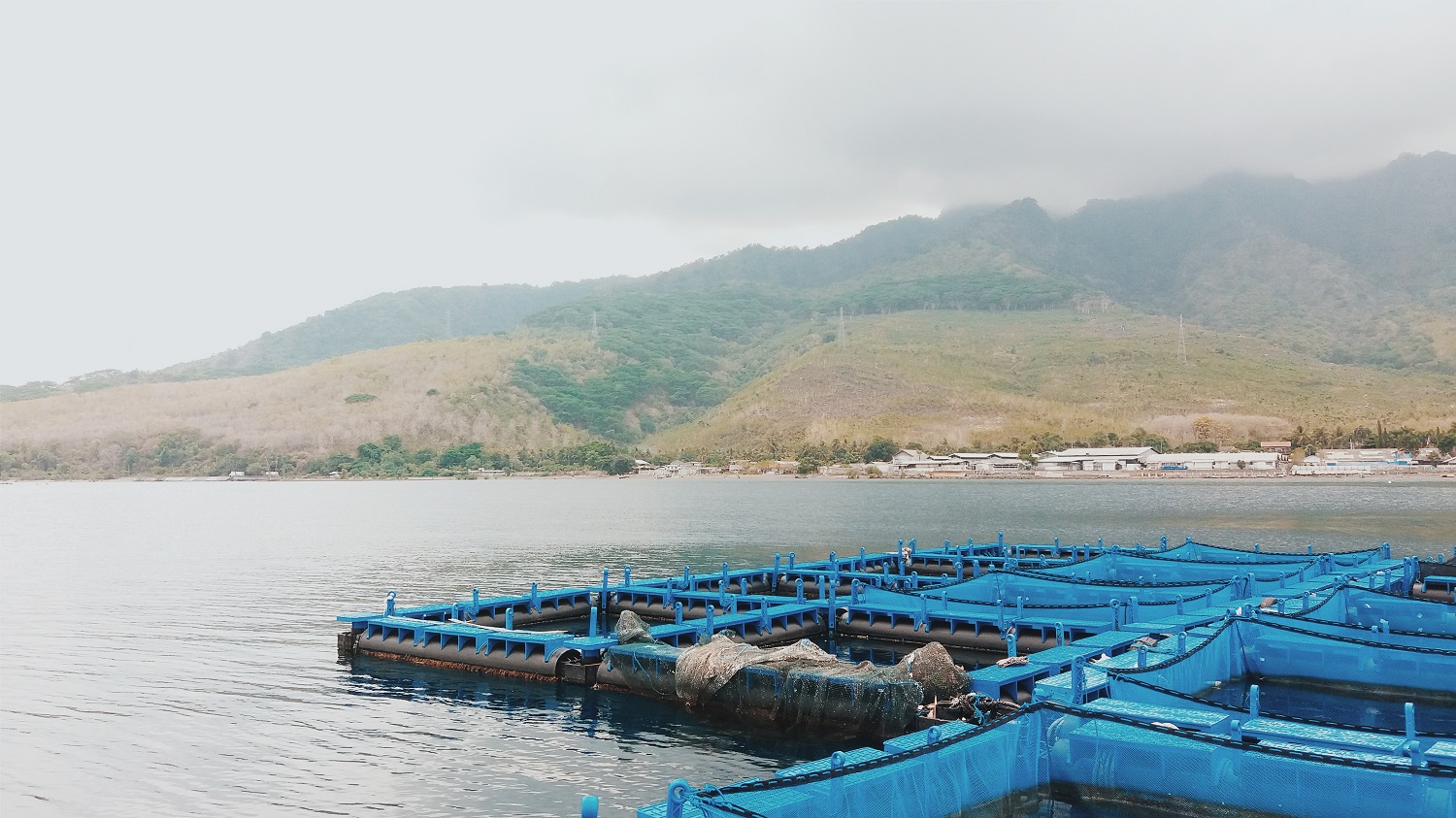 Floating Net Cages at BPBAP Situbondo, one of the internship locations for Aquaculture students from UNAIR Banyuwangi. (Photo: Bastian Ragas)