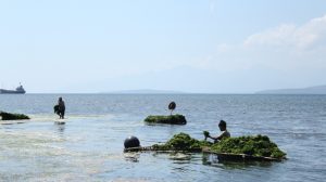 Suasana kegiatan nelayan di perairan Indonesia. (Foto: Bastian Ragas)