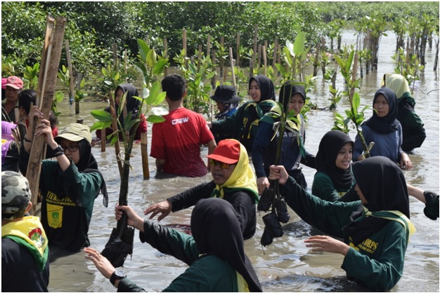 GEN Corps FKp UNAIR Lakukan Penanaman Mangrove di Hutan Mangrove Gunung Anyar Surabaya