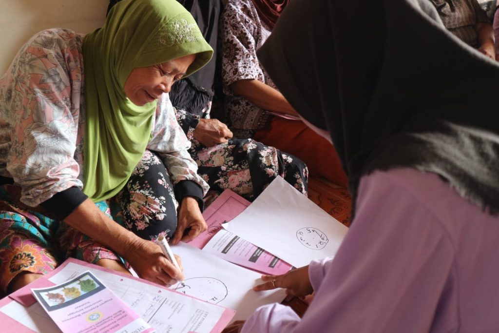 Activities of DESA SEMEN (Cadre for Health Dementia Awareness) in Lamongan.