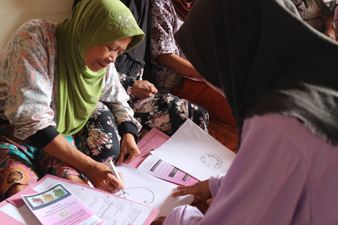 Activities of DESA SEMEN (Cadre for Health Dementia Awareness) in Lamongan.