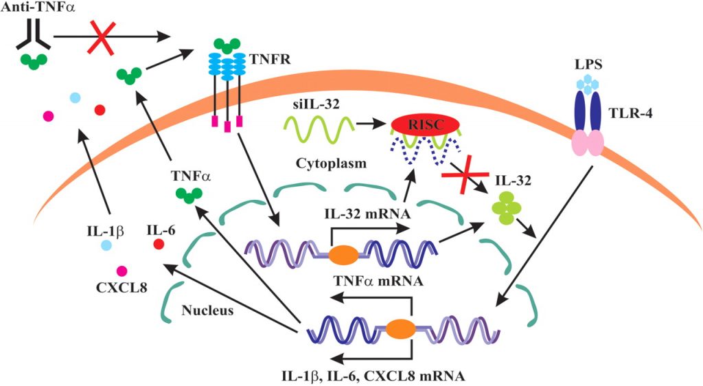 Ilustrasi oleh The BMJ