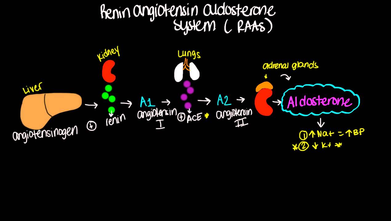 ilustrasi oleh meducation