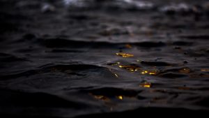 Sumber foto: unsplash.com