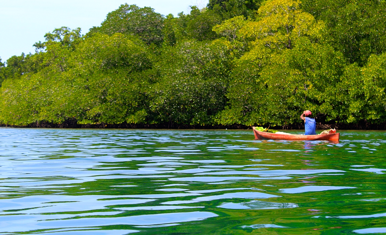 Sumber foto: mongabay.com