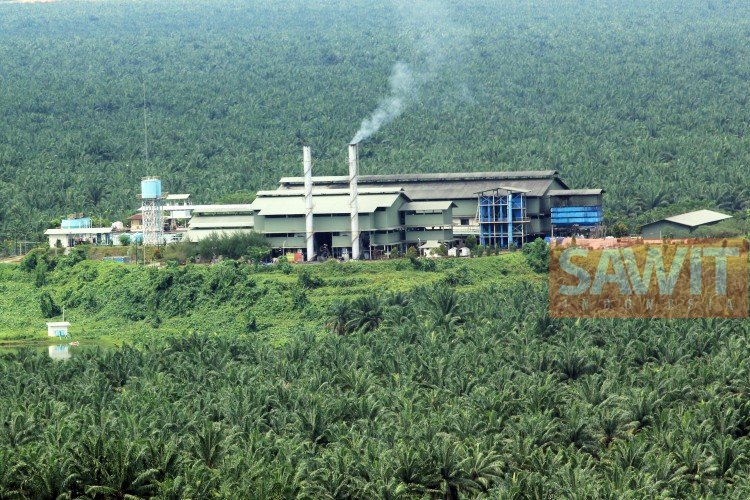 Sumber foto: sawitindonesia.com