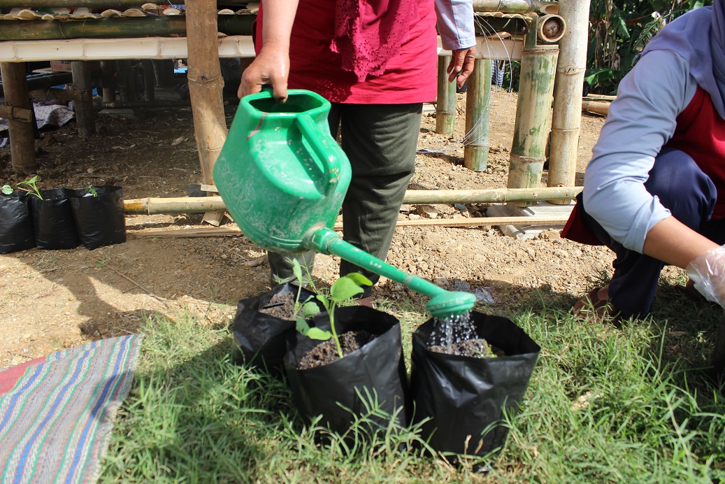 ACTIVITIES of training and planting vegetables. (Photo: Widya)