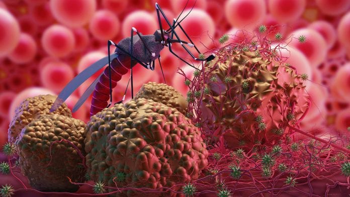 Perbandingan Mikroskopik Malaria Dan Pcr Untuk Identifikasi Plasmodium