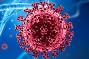 ILUSTRASI virus nipah (Sumber kompas.com)