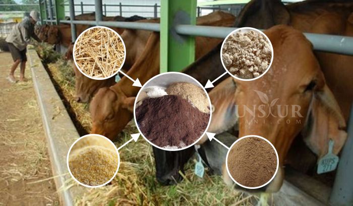 Peran Limbah Rumen Sapi sebagai Alternatif Sumber Nutrisi untuk ...