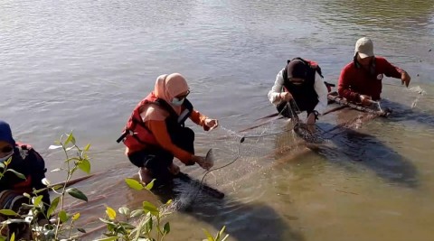 Lingkungan Perairan Muara Bengawan Solo, Gresik, Jawa Timur sebagai Basis Pengembangan Perikanan