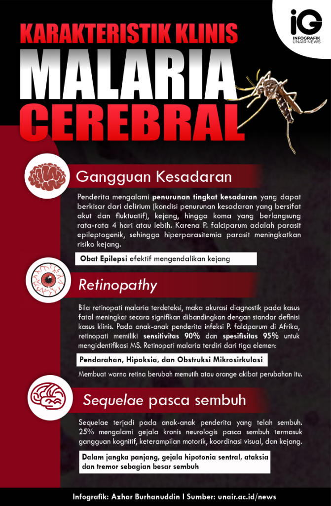 literature review on cerebral malaria