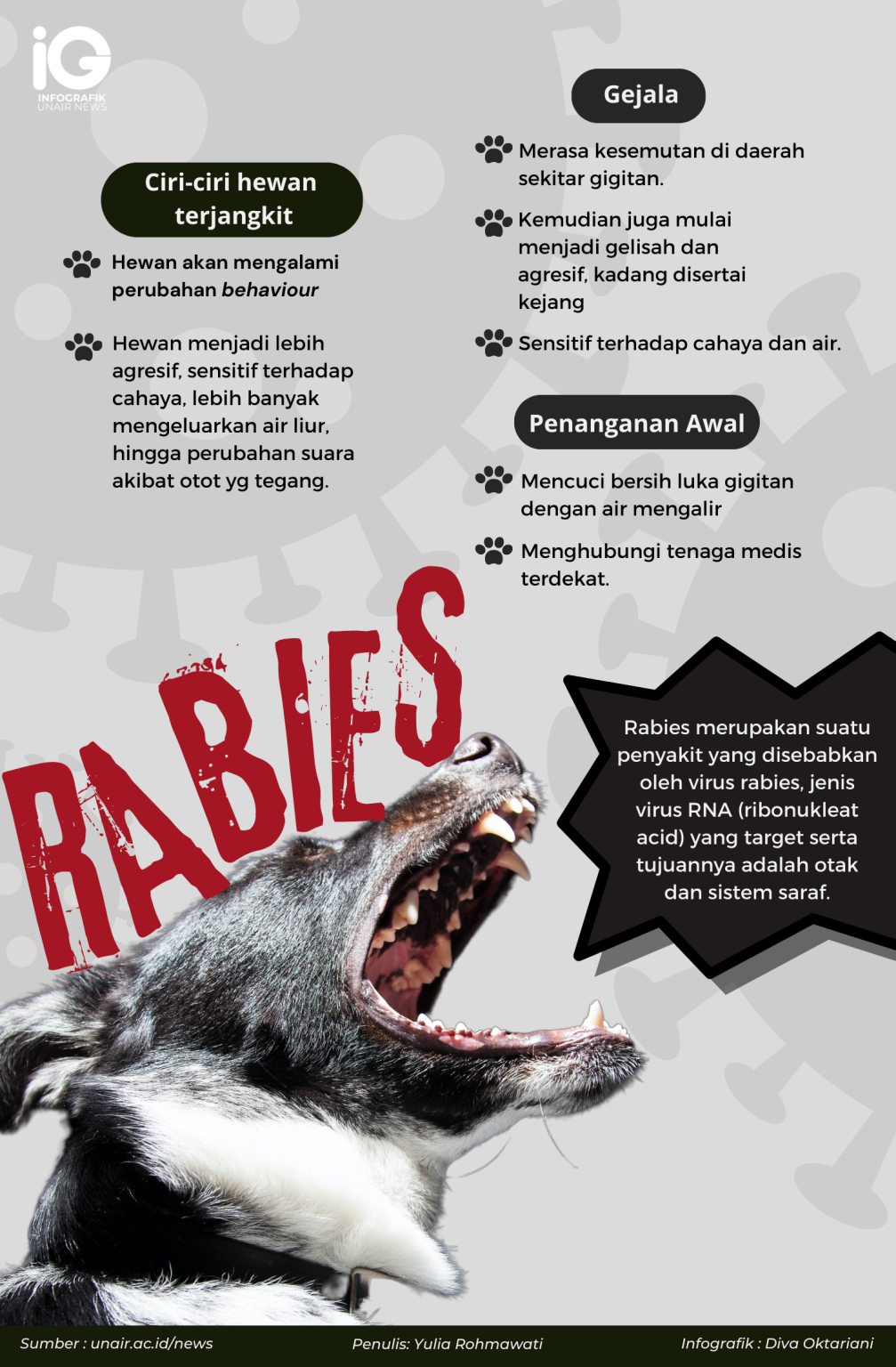 infografik-penyakit-rabies