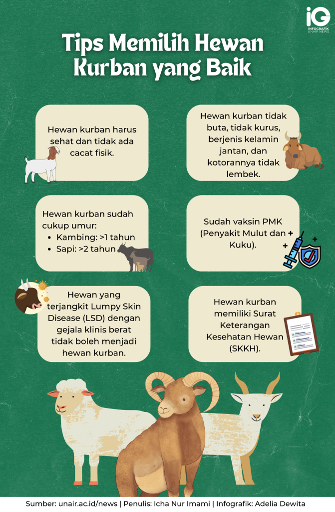 Infografik: Tips Memilih Hewan Kurban yang Baik