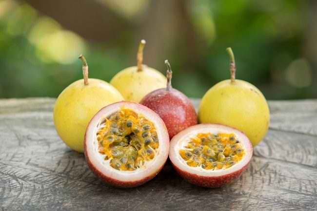 Illustrationof passion fruit (Photo: andr)