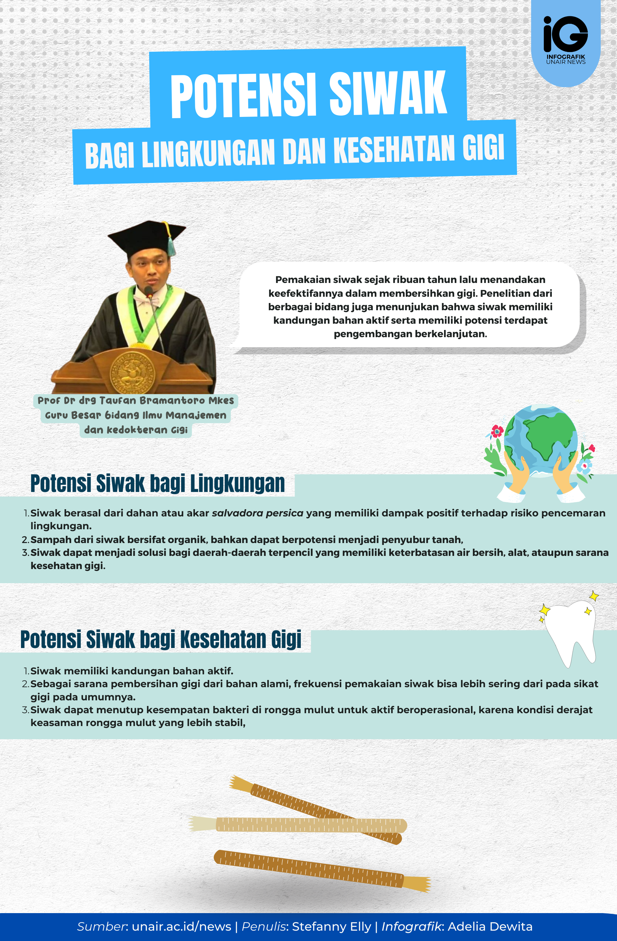 Infografik: Potensi Siwak bagi Lingkungan dan Kesehatan Gigi