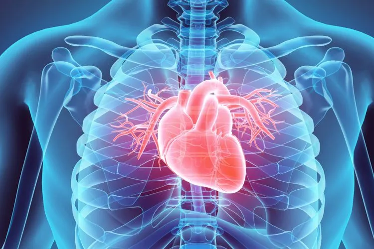 Hubungan Aktivitas Fisik dengan Risiko Penyakit Kardiovaskular