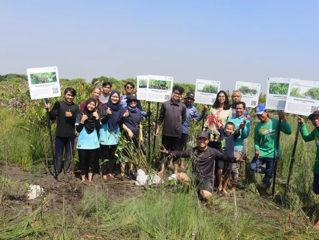 Cegah Abrasi, FST UNAIR dan Masyarakat Tanam Mangrove di Pesisir Gresik
