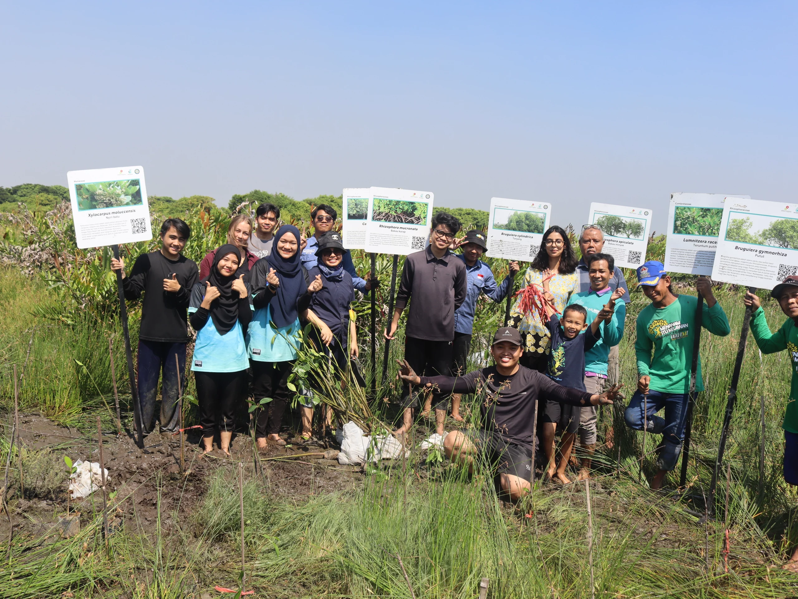 Cegah Abrasi, FST UNAIR dan Masyarakat Tanam Mangrove di Pesisir Gresik