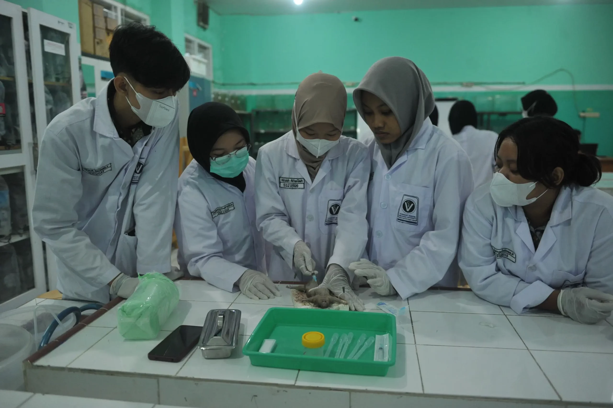 Peserta Kelas Diklat Melakukan Nekropsi Tikus. (Foto: Istimewa)