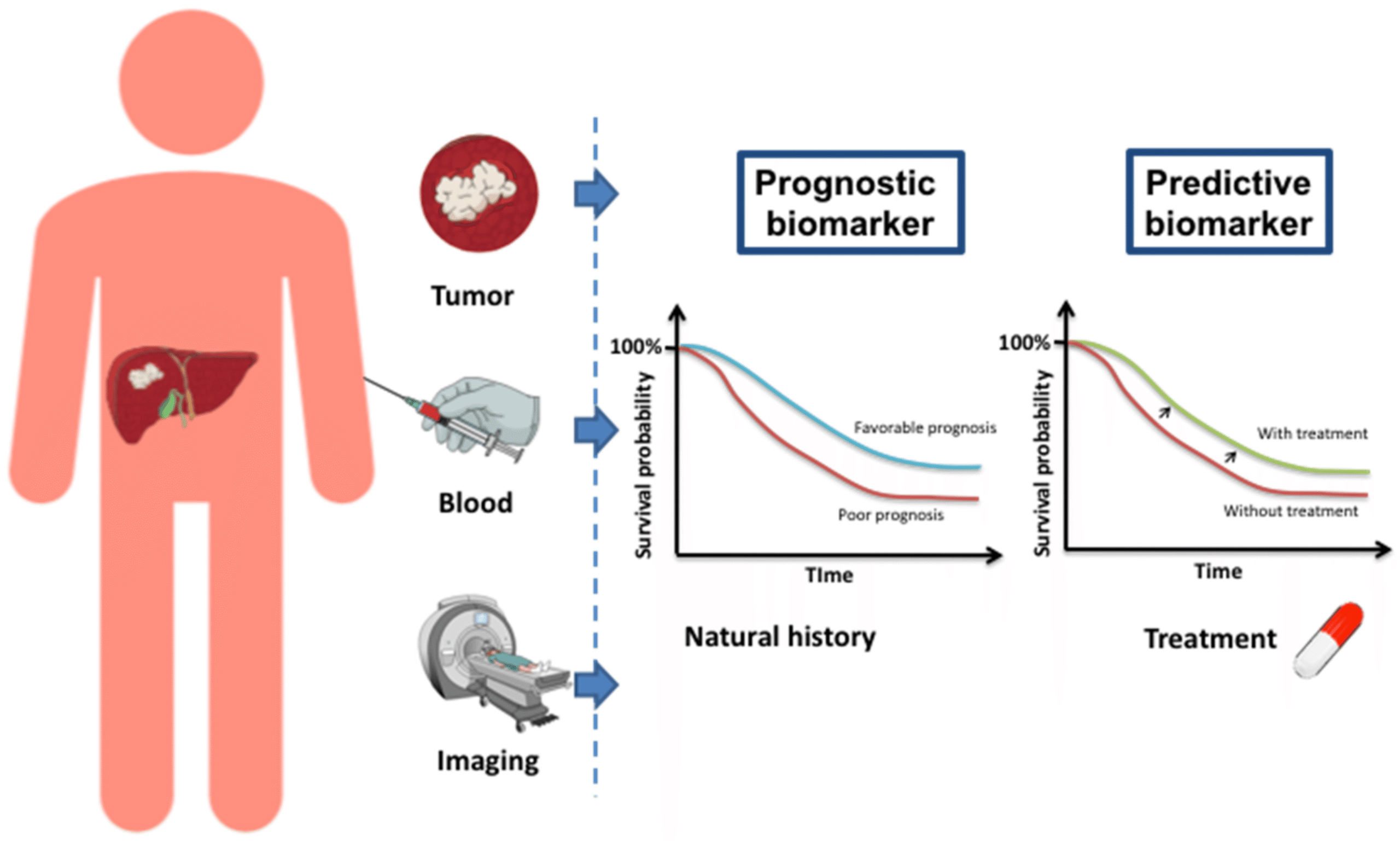 biomarker prognostik
