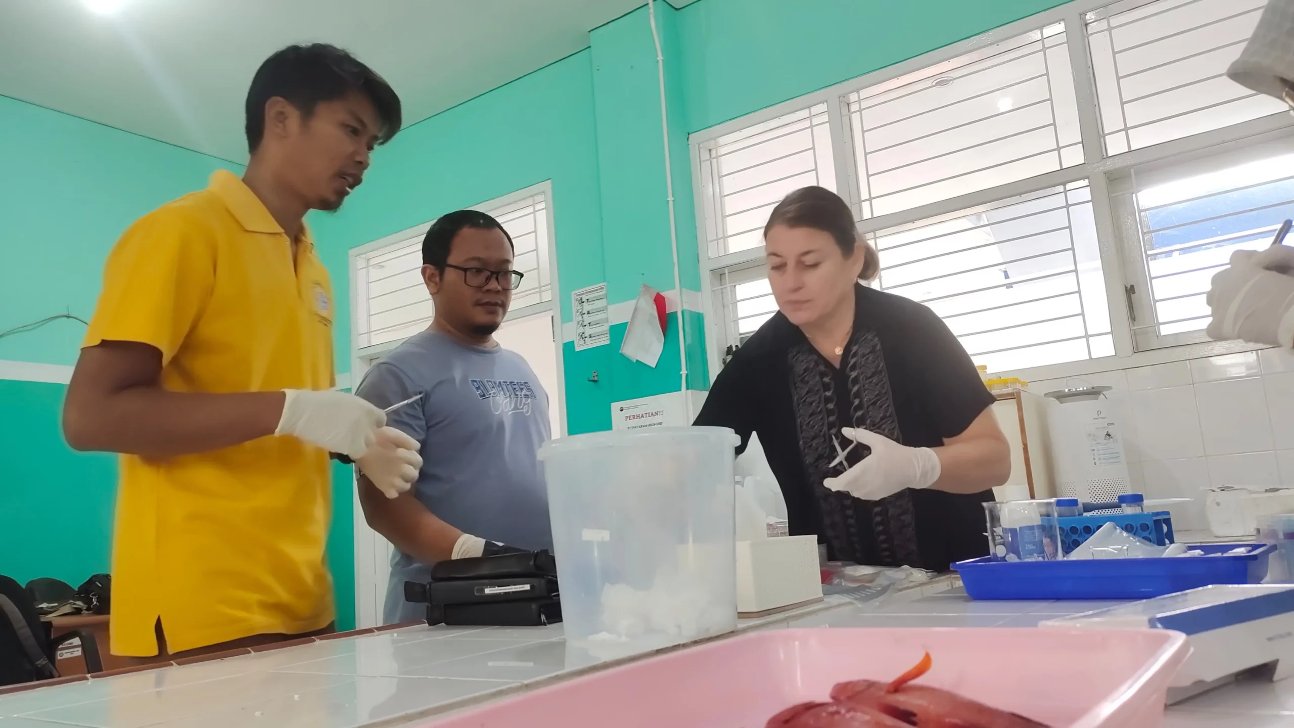 Faculty of Aquaculture Lecturer FIKKIA and Prof. Dorota Fopp-Byat collect genetic samples from Sturgeon. (Photo: By courtesy)