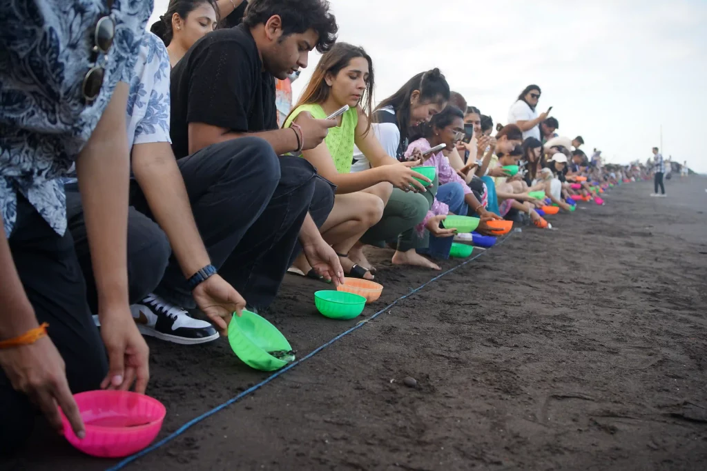 Peserta Airventure saat melepas tukik di Pantai Boom, Banyuwangi (Sumber: istimewa)