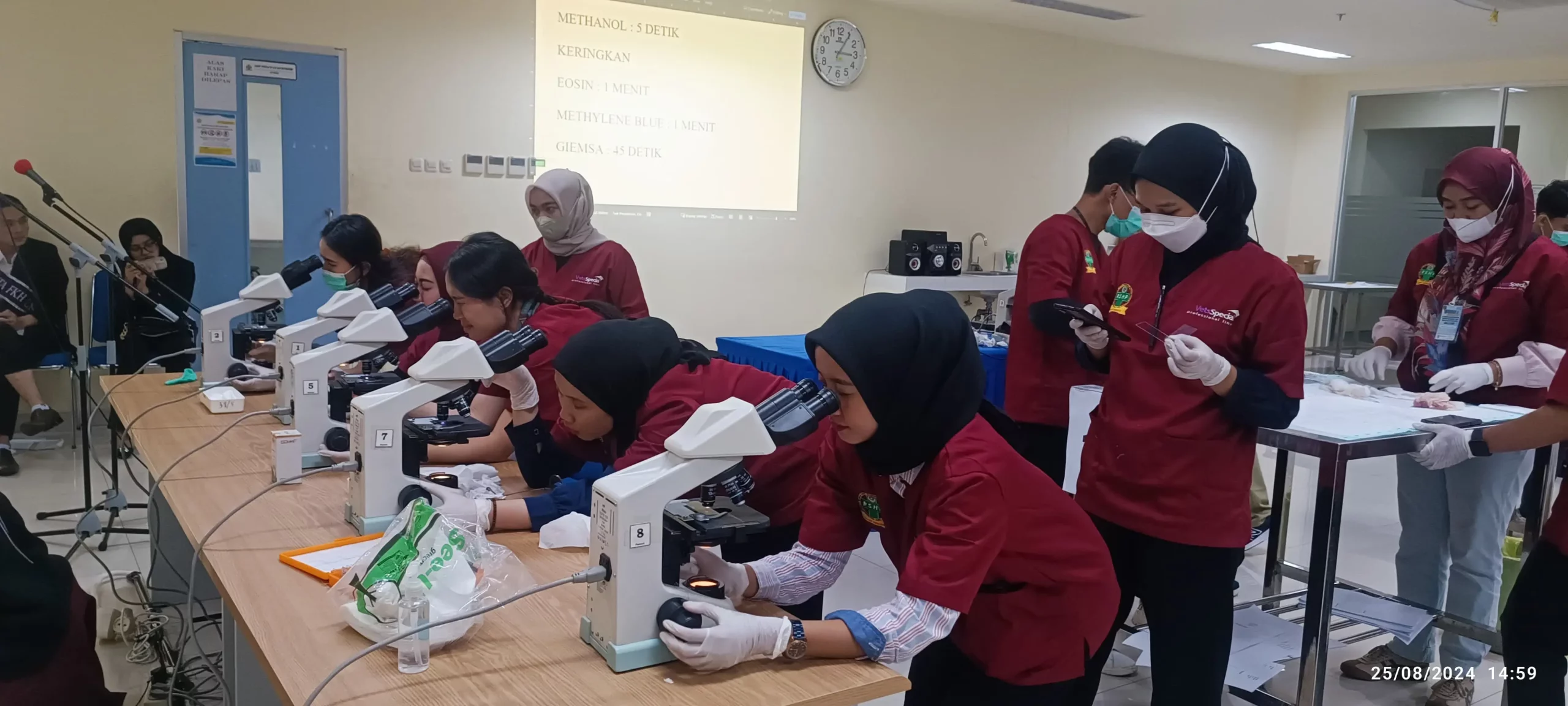 Pengamatan Preparat di Bawah Mikroskop dalam Lokakarya bertajuk “Cytological and Histopathological Quantitative Measurement, Basic Biopsy and How to Read the Slide” (Foto: Dok. Panitia)