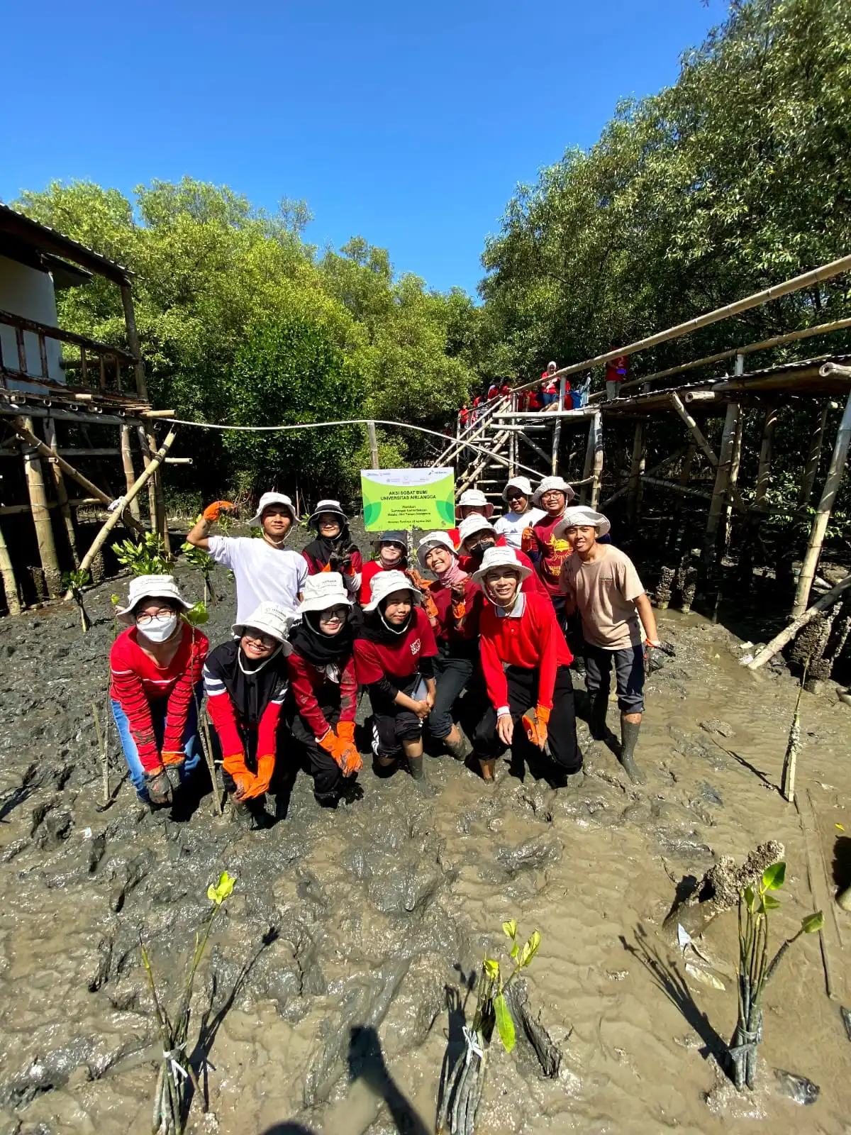 Keseruan Aksi Sobat Bumi UNAIR batch 10 dalam kegiatan penanaman bibit mangrove di Taman Mangrove Wonorejo, Surabaya (Foto: Istimewa)